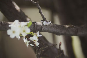 EngagementPhotos_037