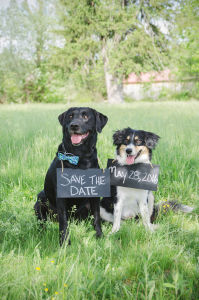 EngagementPhotos_044