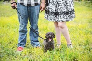 EngagementPhotos_050