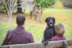 Family 007