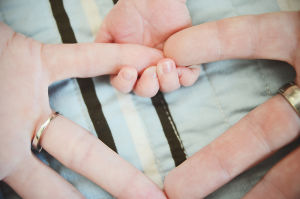 Family 026