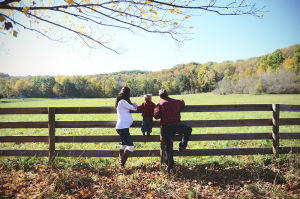 Family 042