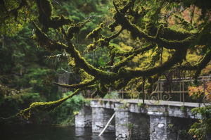 Travel 015