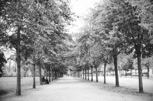 Travel 023
