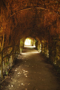 Travel 063