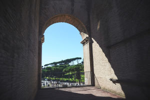 Travel 091