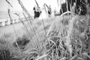 WeddingPhotos 089
